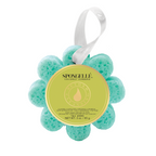 Wild Flower Assorted Pack