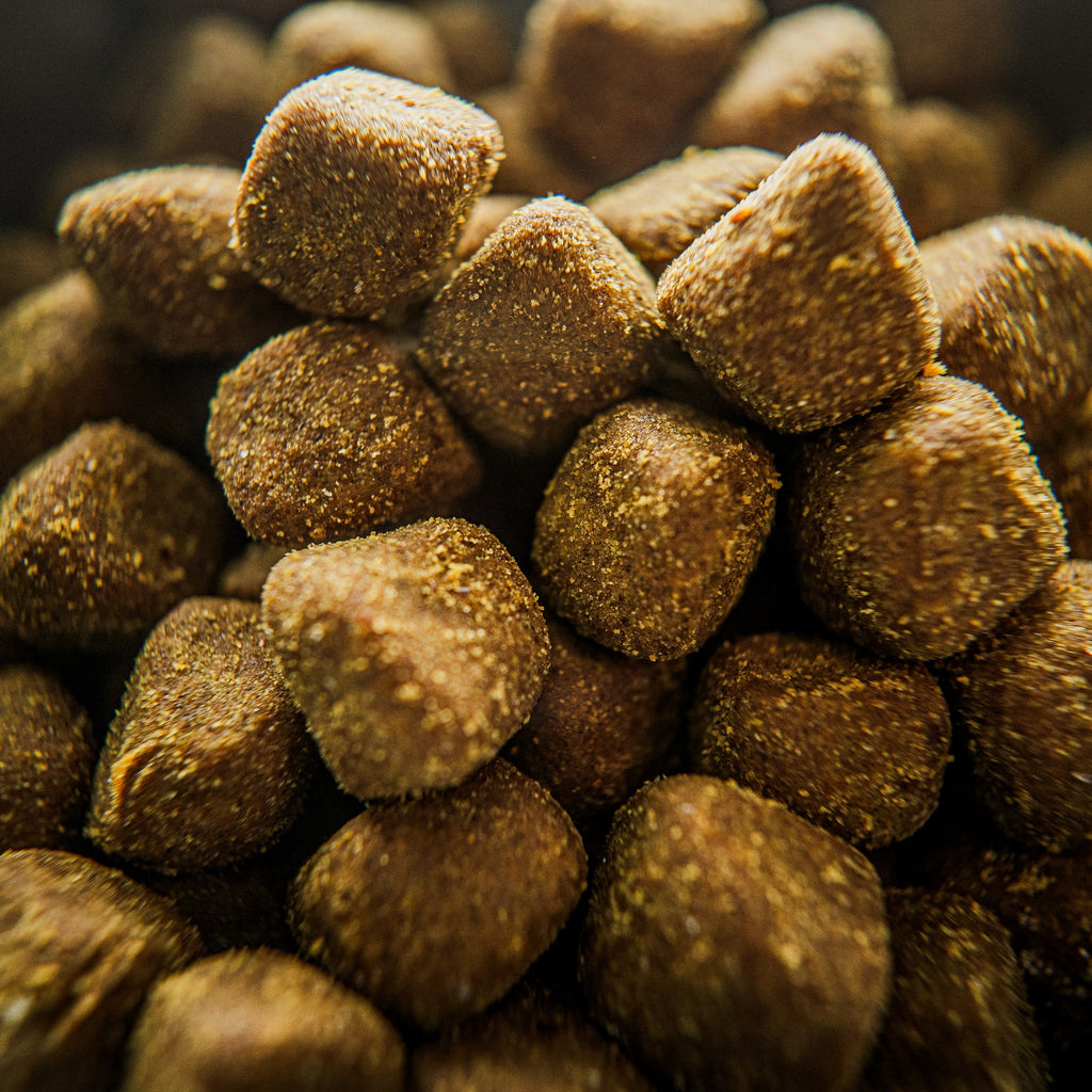 Supplement: Allergy