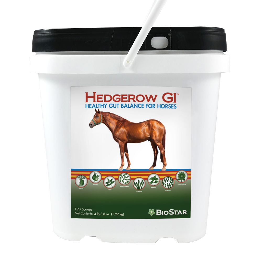 Hedgerow GI